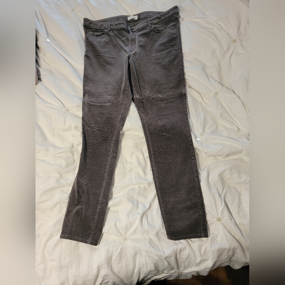 Loft skinny cords